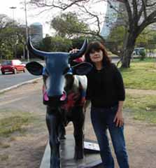 Comparade - Suzane Wonghon 