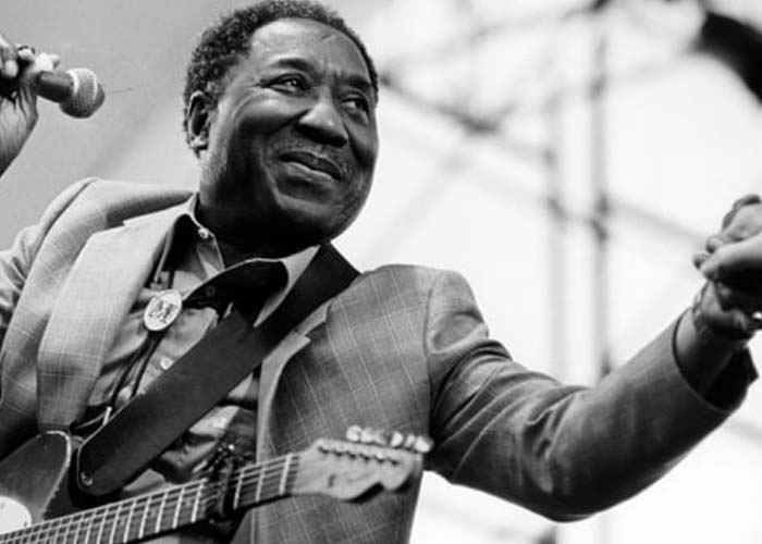 Muddy Waters